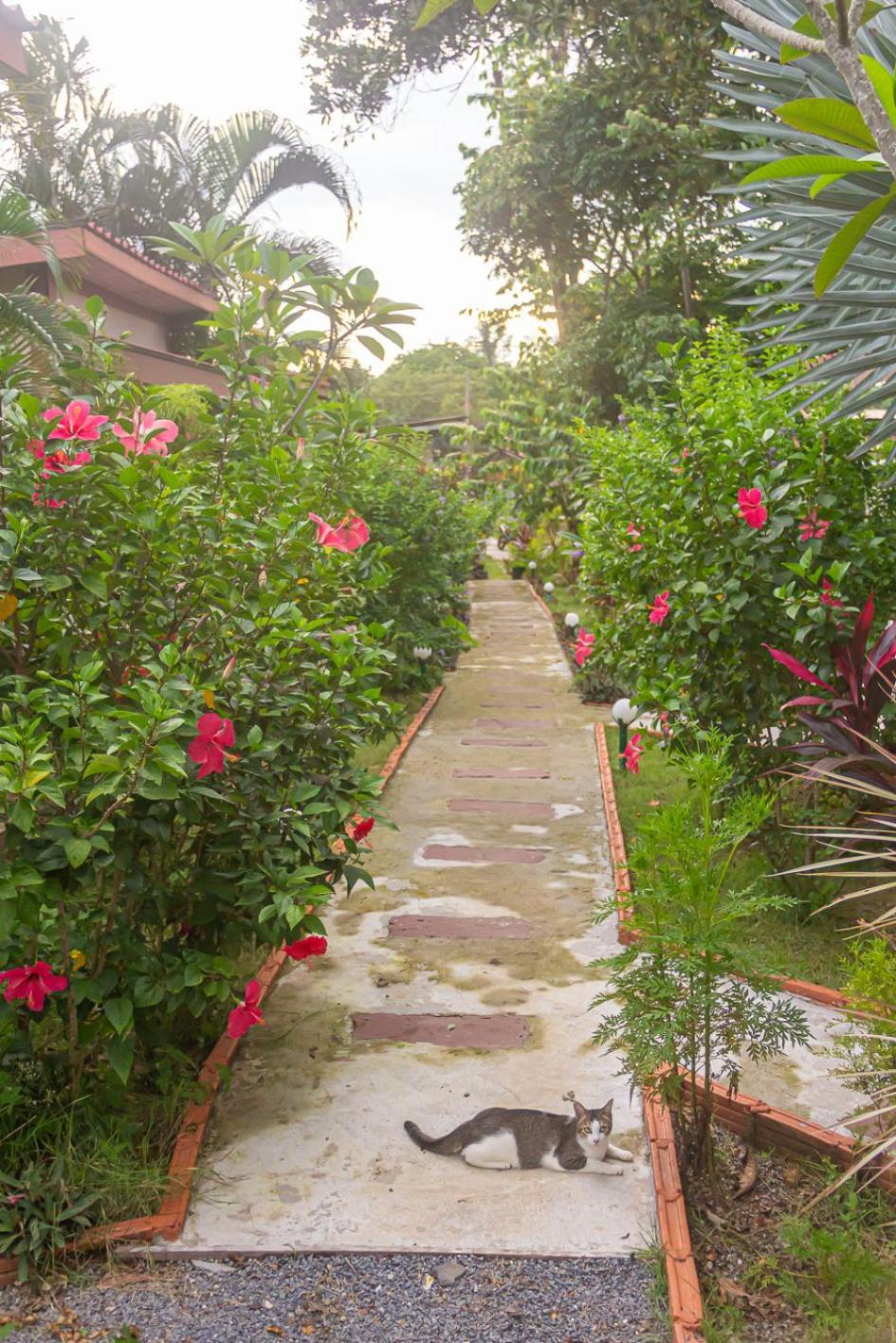 The Travelers Friend Hotel Ban Ai Dao Exterior foto